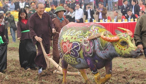 Phó Thủ tướng Thường trực xuống đồng cày Tịch điền - ảnh 2